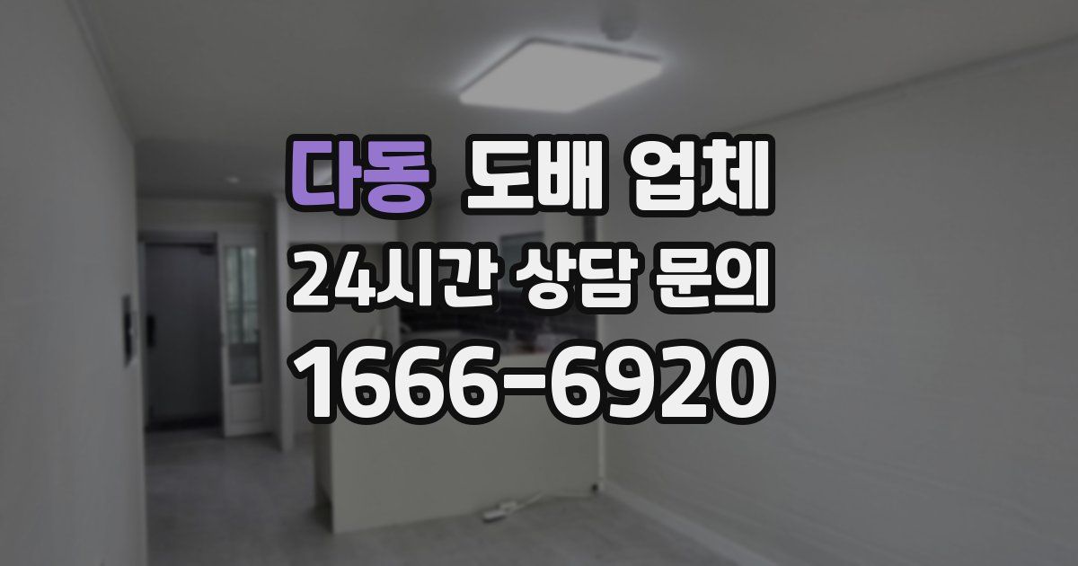 다동 도배 업체
