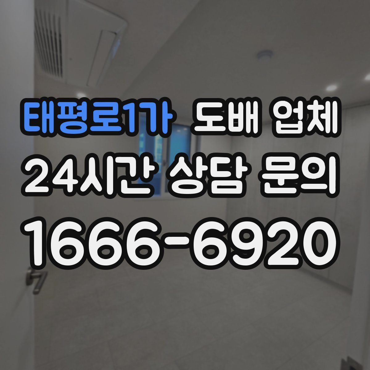태평로1가 도배 업체