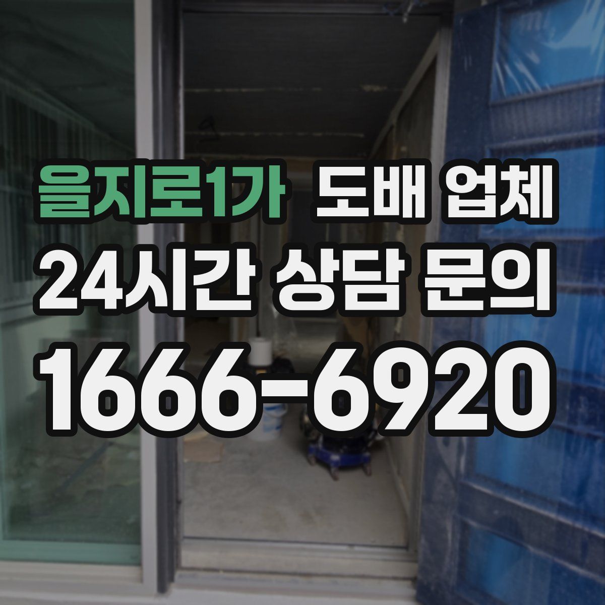 을지로1가 도배 업체
