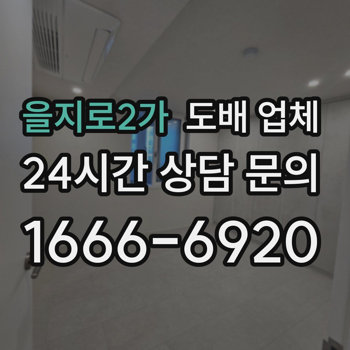 을지로2가 도배 업체