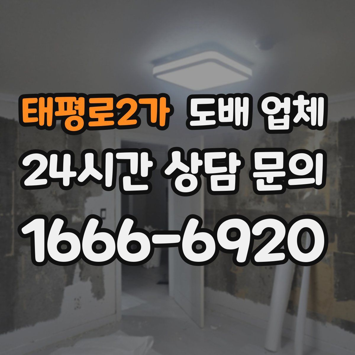 태평로2가 도배 업체