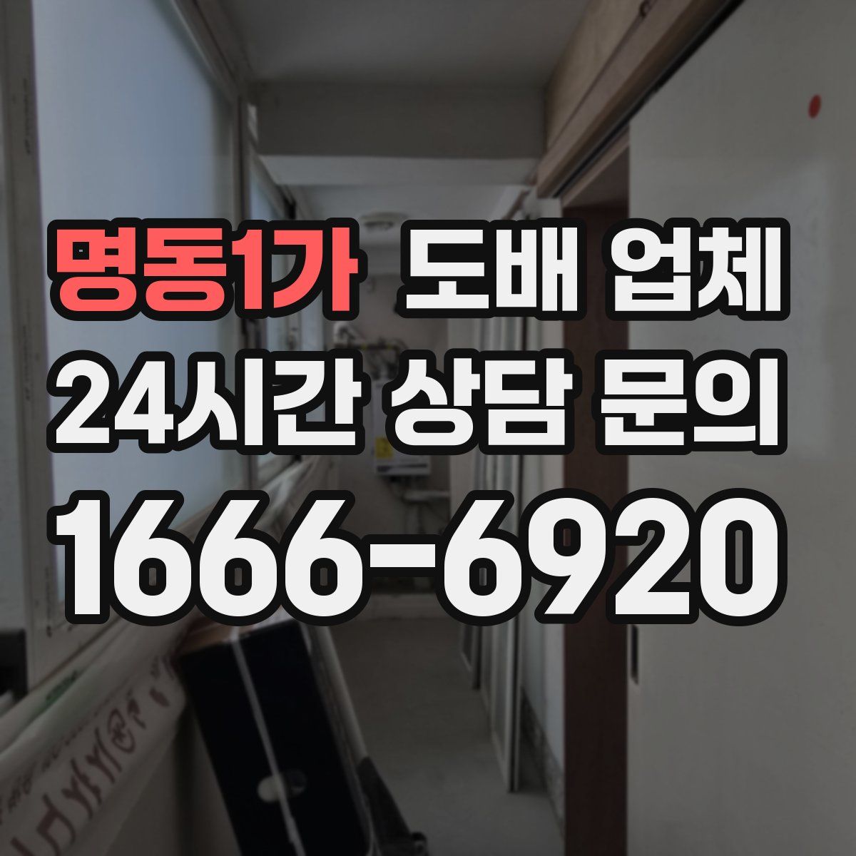 명동1가 도배 업체