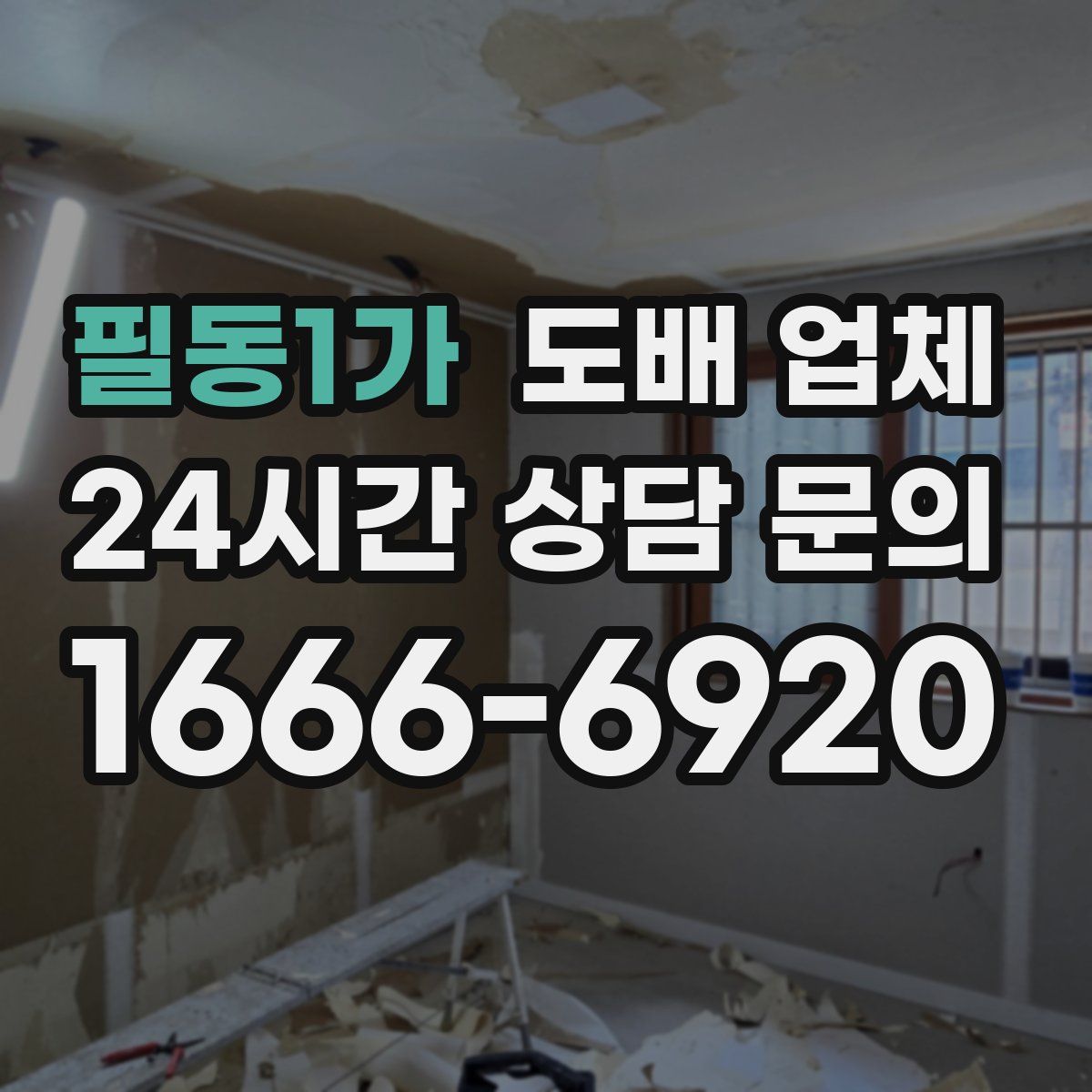 필동1가 도배 업체