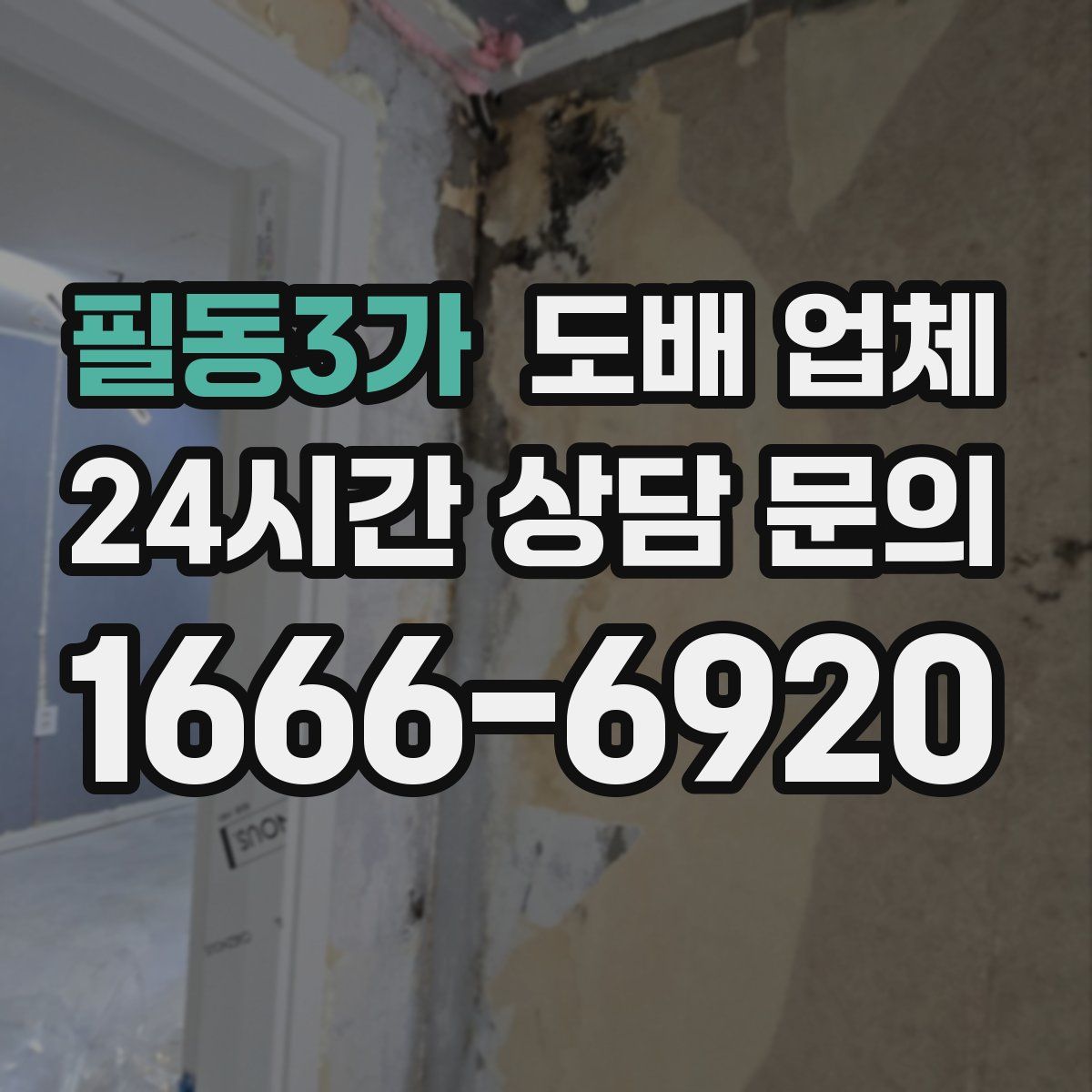 필동3가 도배 업체
