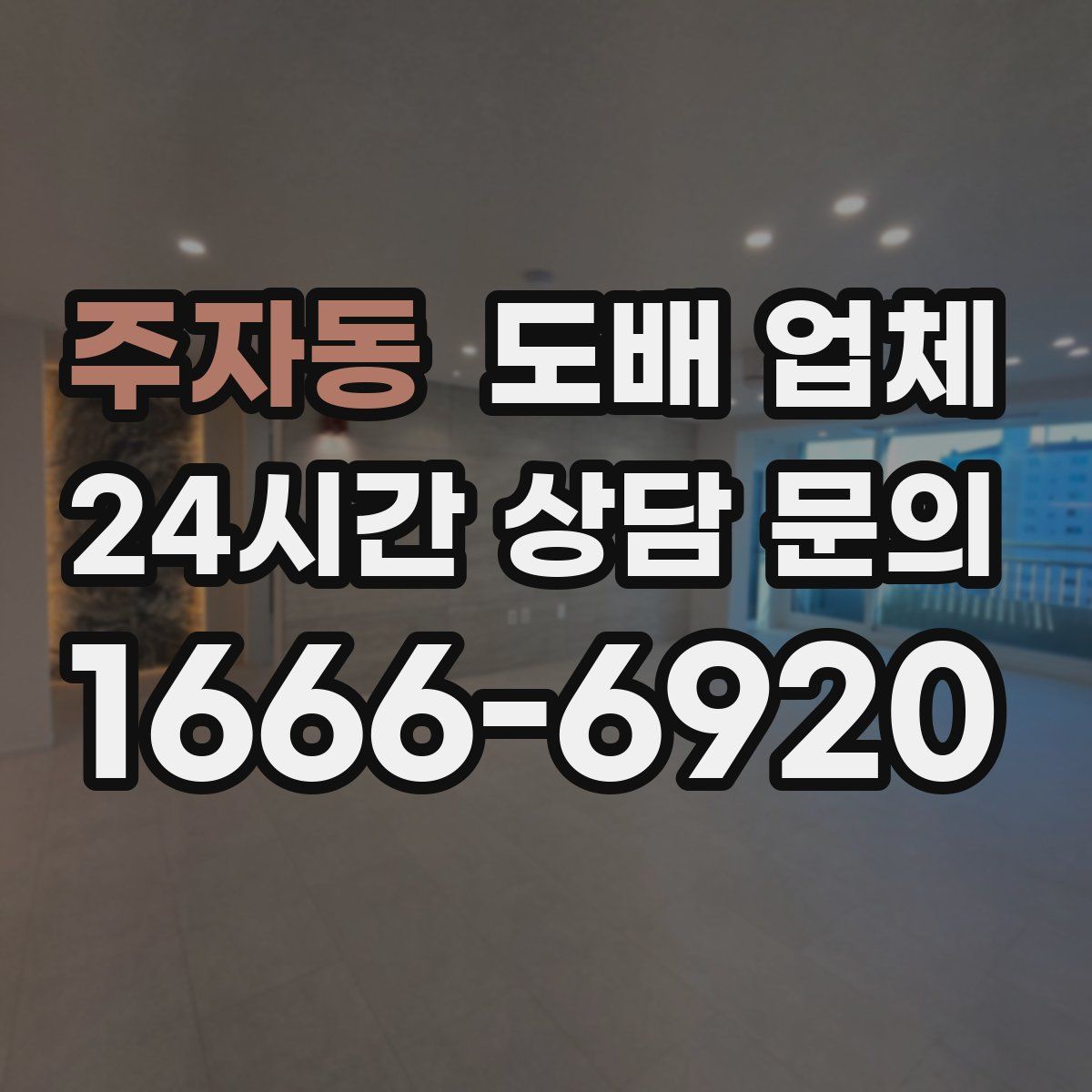 주자동 도배 업체