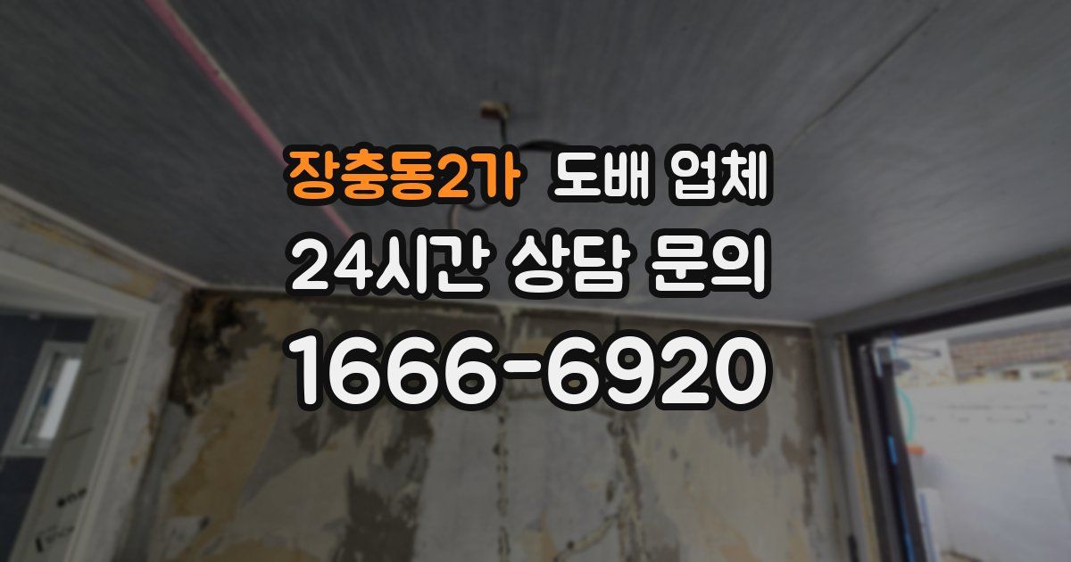 장충동2가 도배 업체