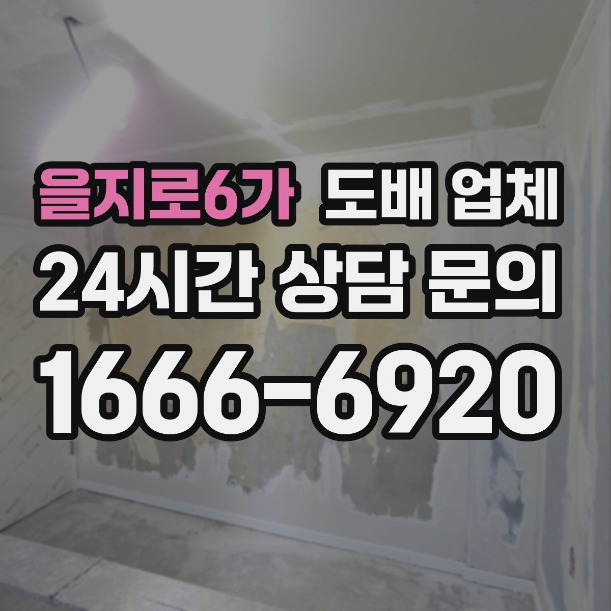 을지로6가 도배 업체