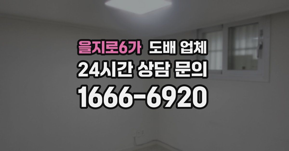 을지로6가 도배 업체