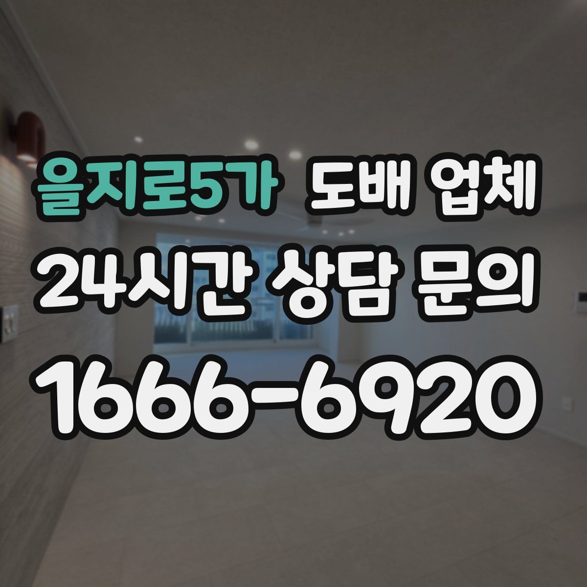 을지로5가 도배 업체
