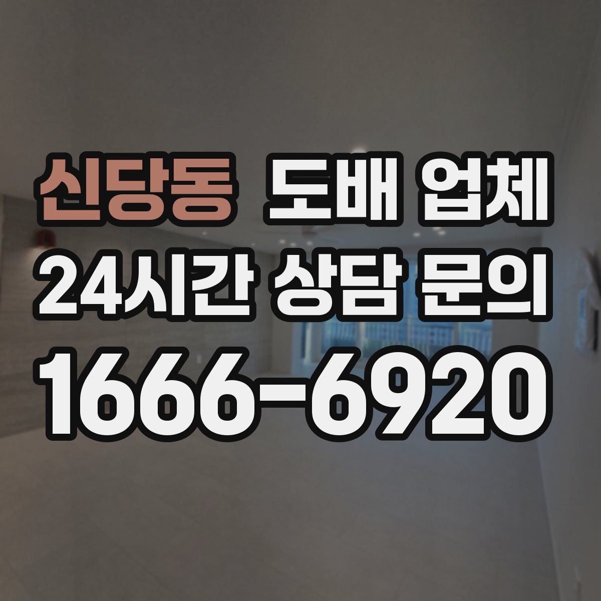 신당동 도배 업체