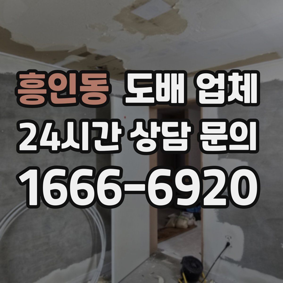 흥인동 도배 업체
