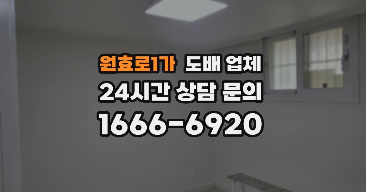 원효로1가 도배 업체