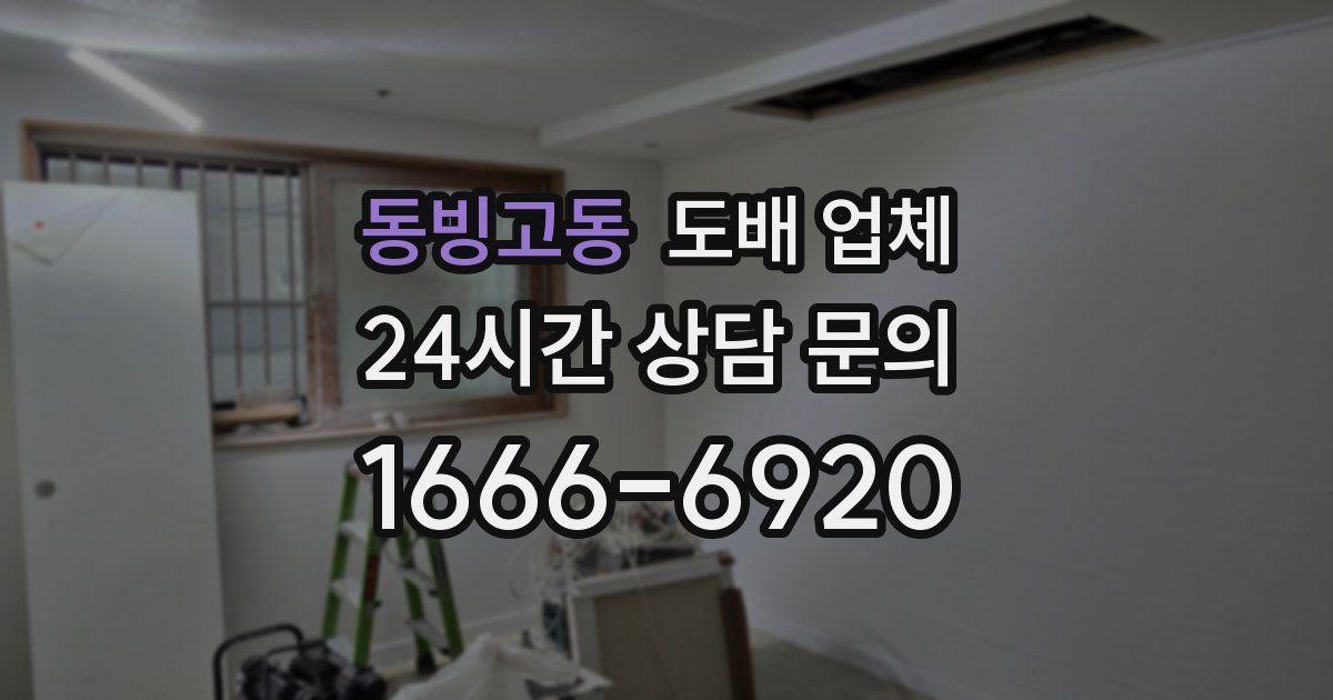 동빙고동 도배 업체
