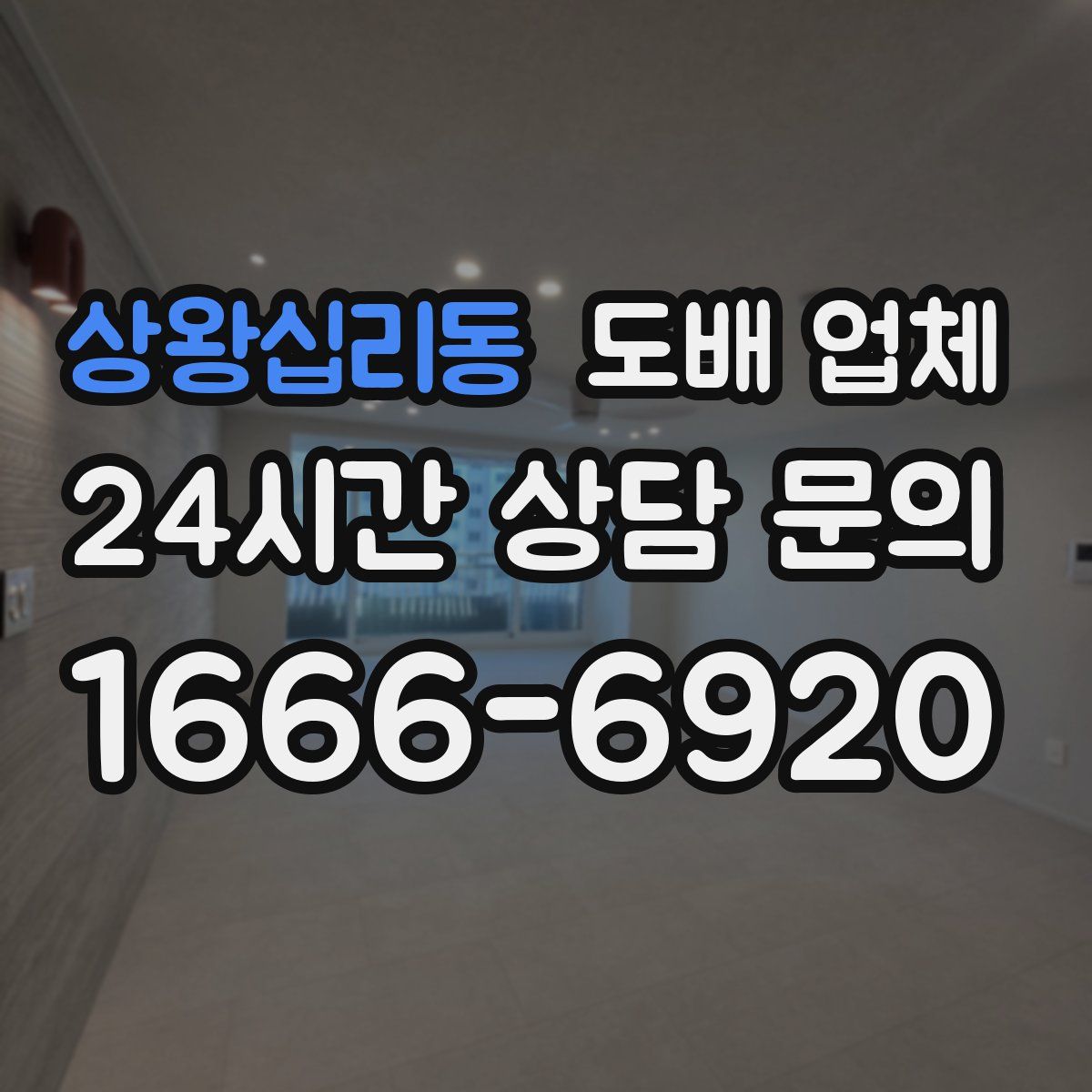 상왕십리동 도배 업체