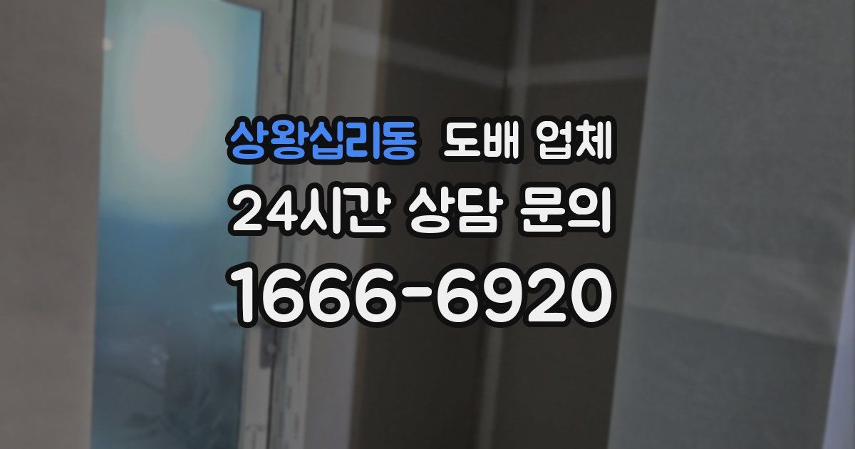 상왕십리동 도배 업체