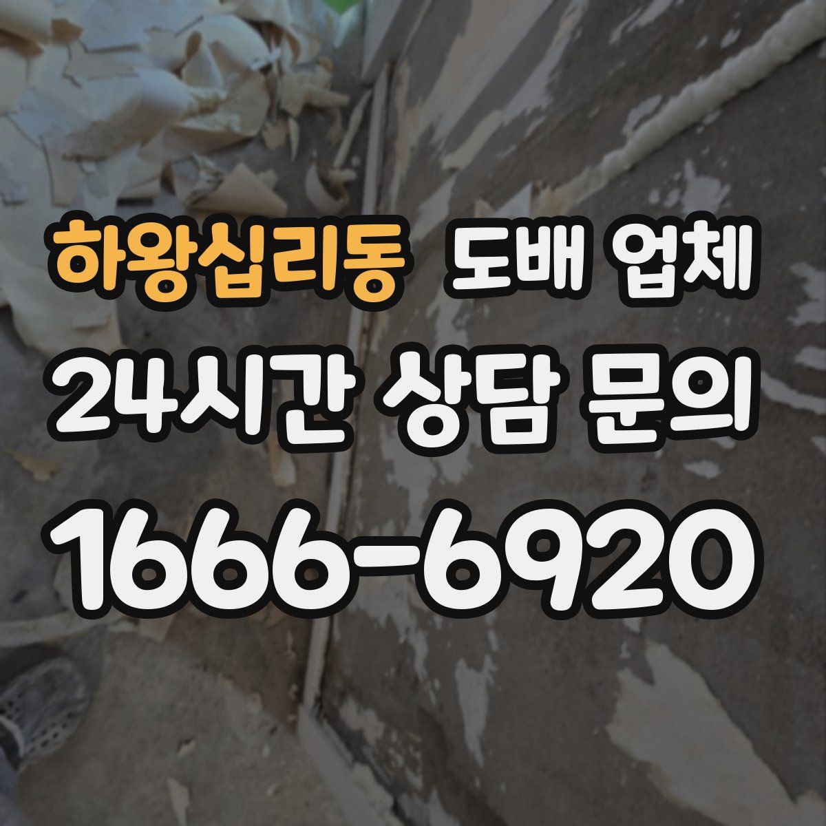 하왕십리동 도배 업체