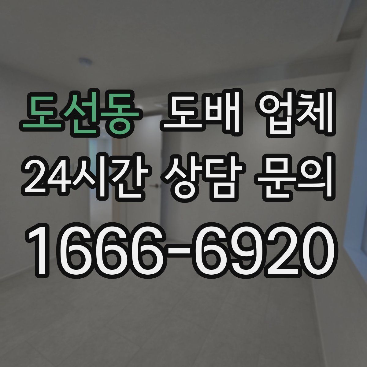 도선동 도배 업체