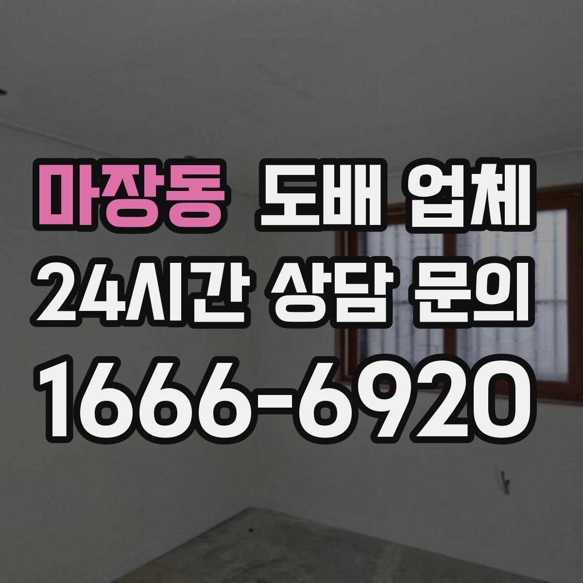 마장동 도배 업체