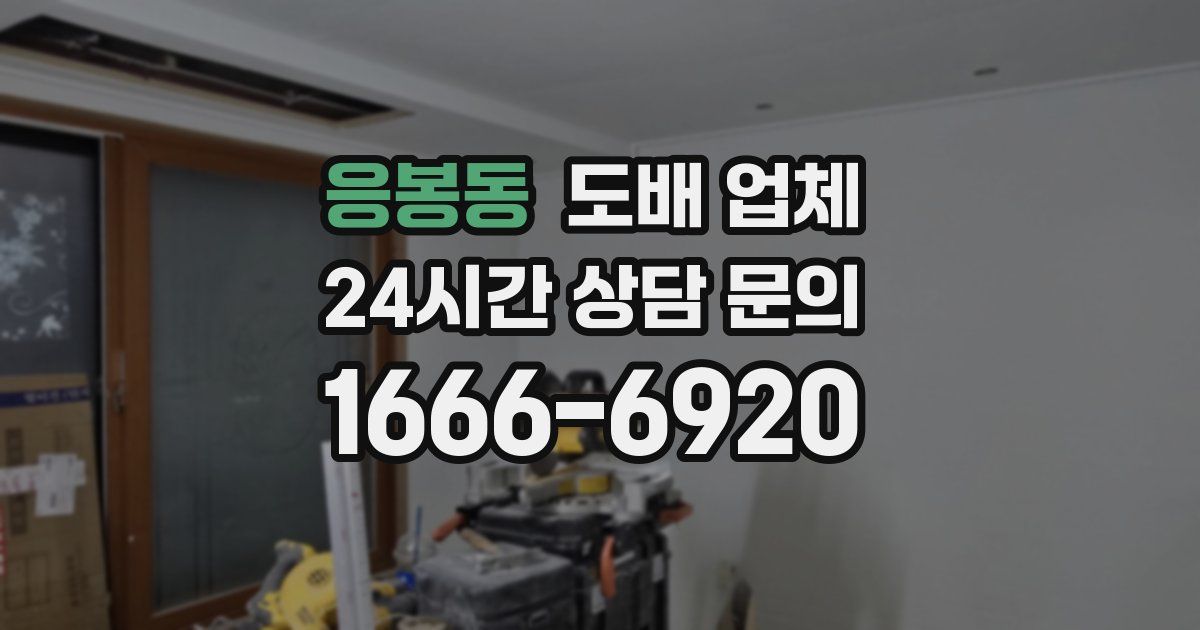 응봉동 도배 업체