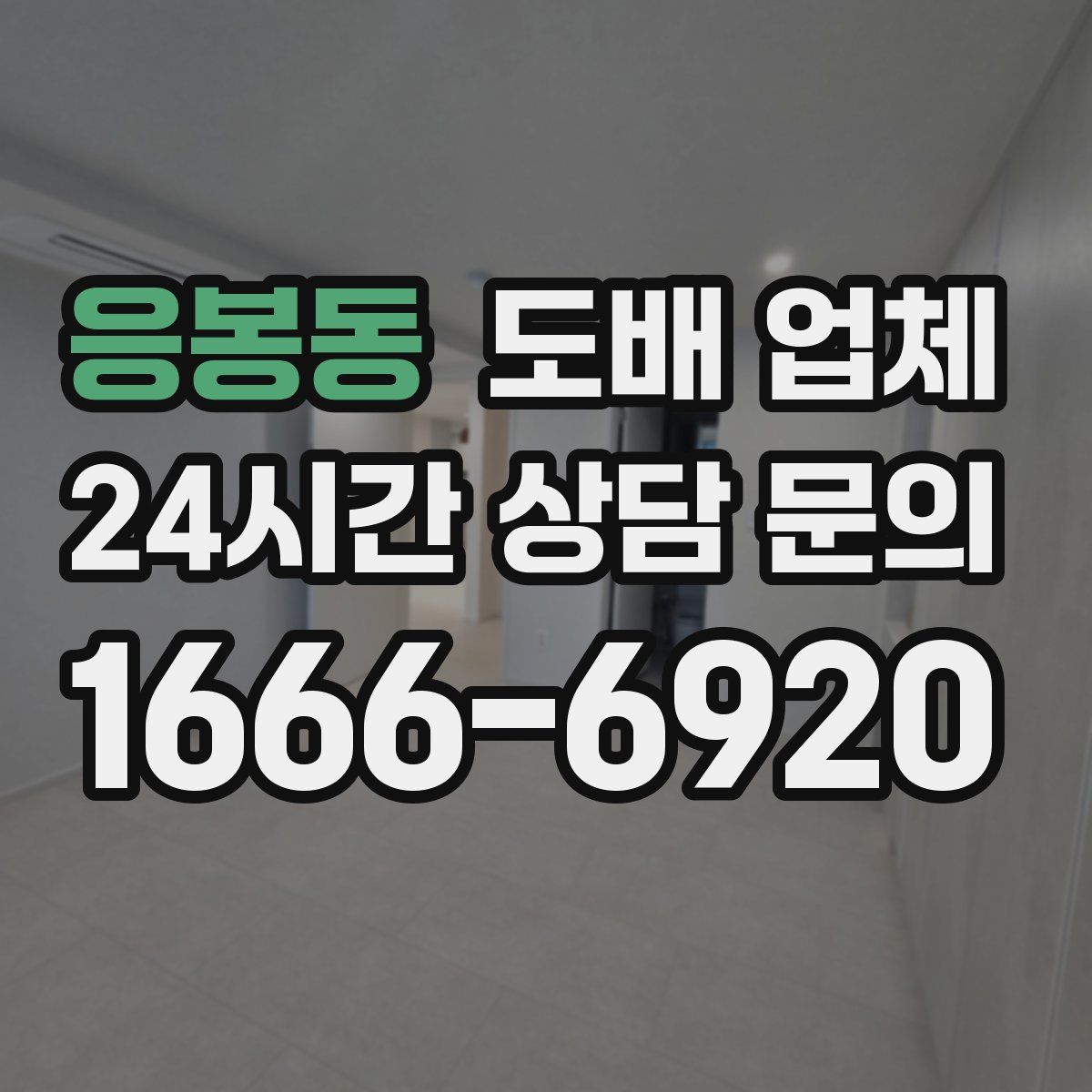 응봉동 도배 업체