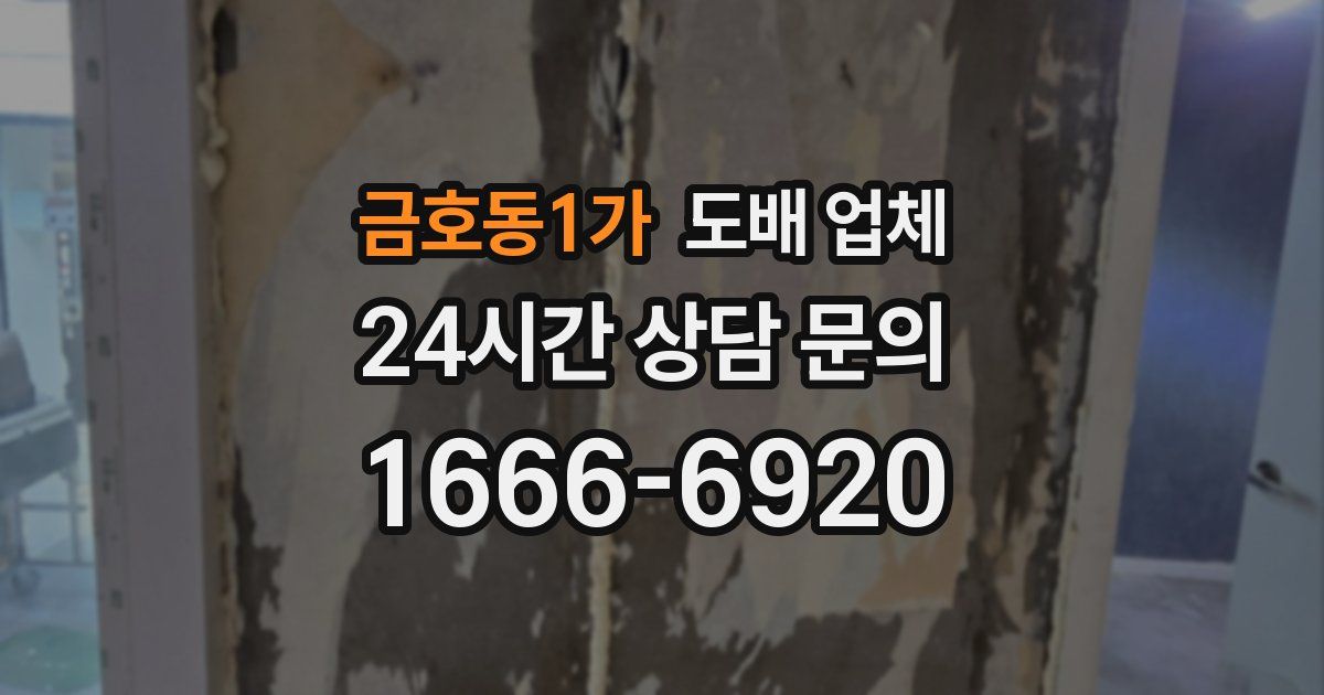 금호동1가 도배 업체