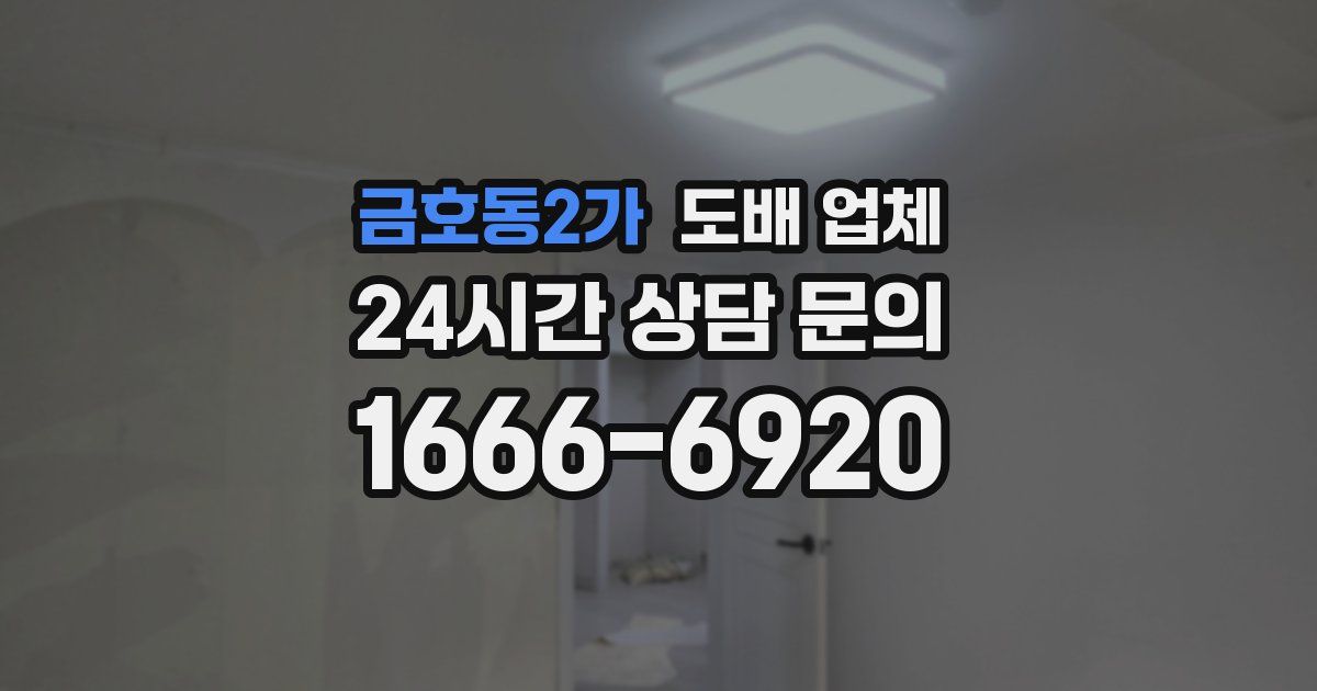 금호동2가 도배 업체