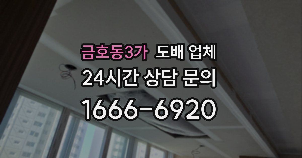금호동3가 도배 업체
