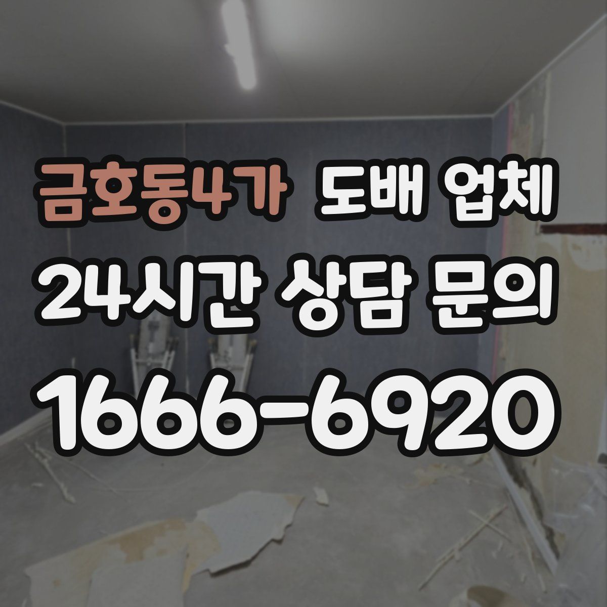 금호동4가 도배 업체