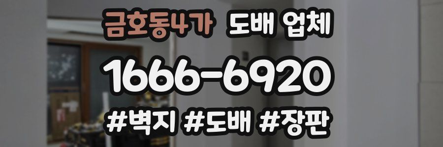 금호동4가 도배 업체