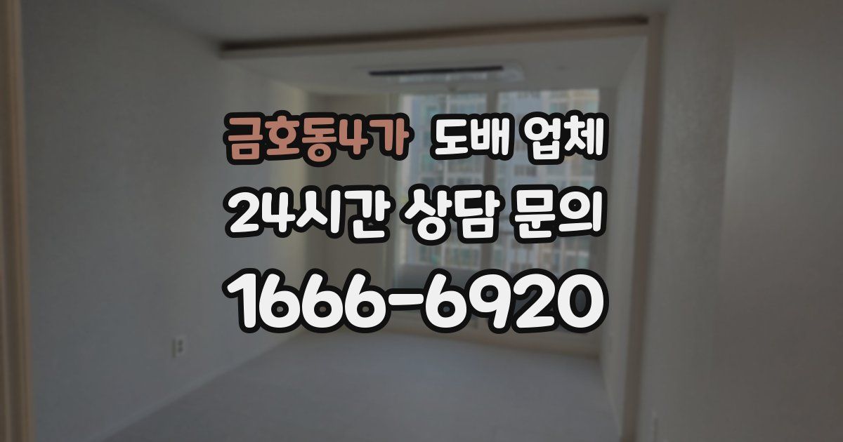금호동4가 도배 업체