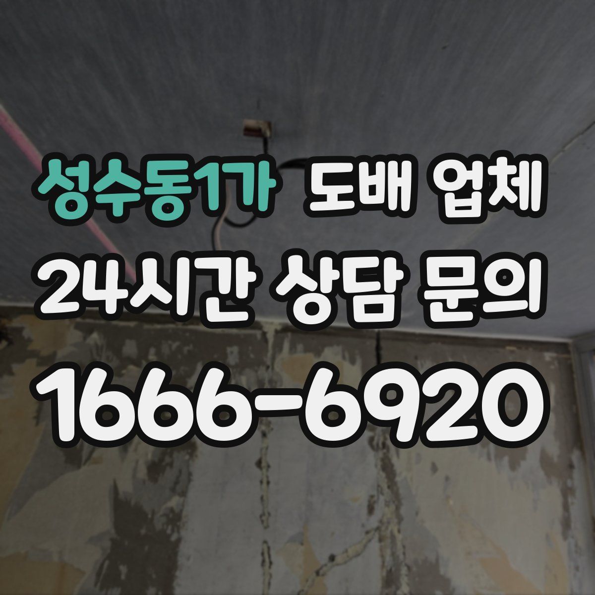 성수동1가 도배 업체