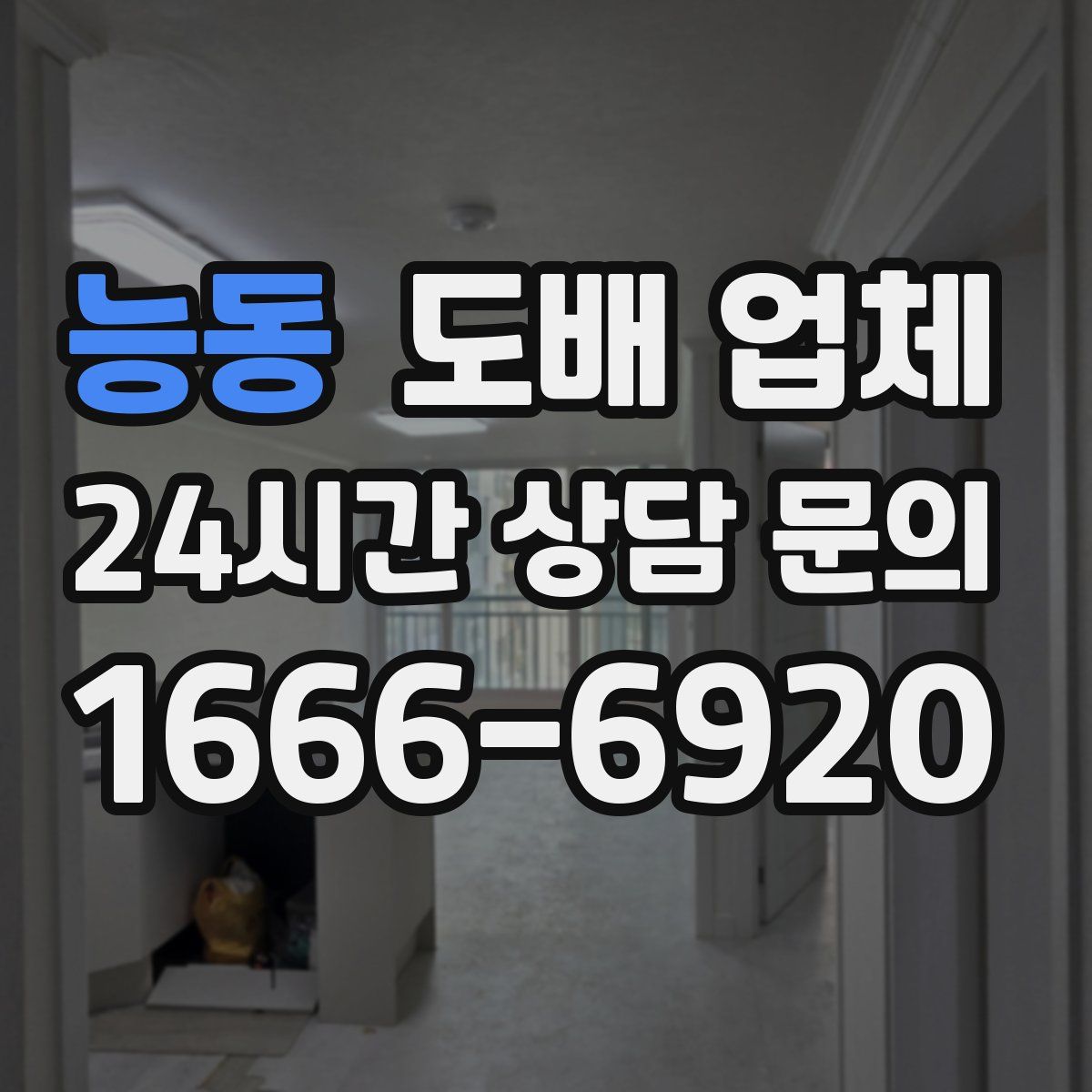 능동 도배 업체