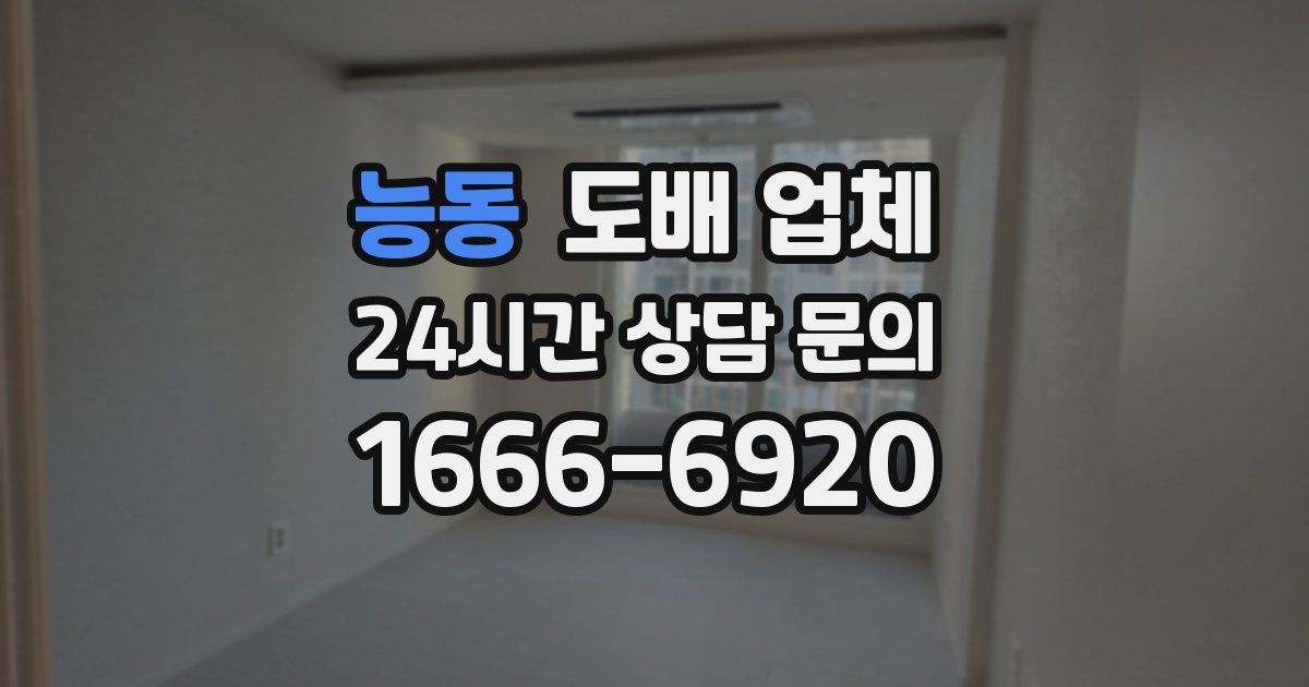 능동 도배 업체