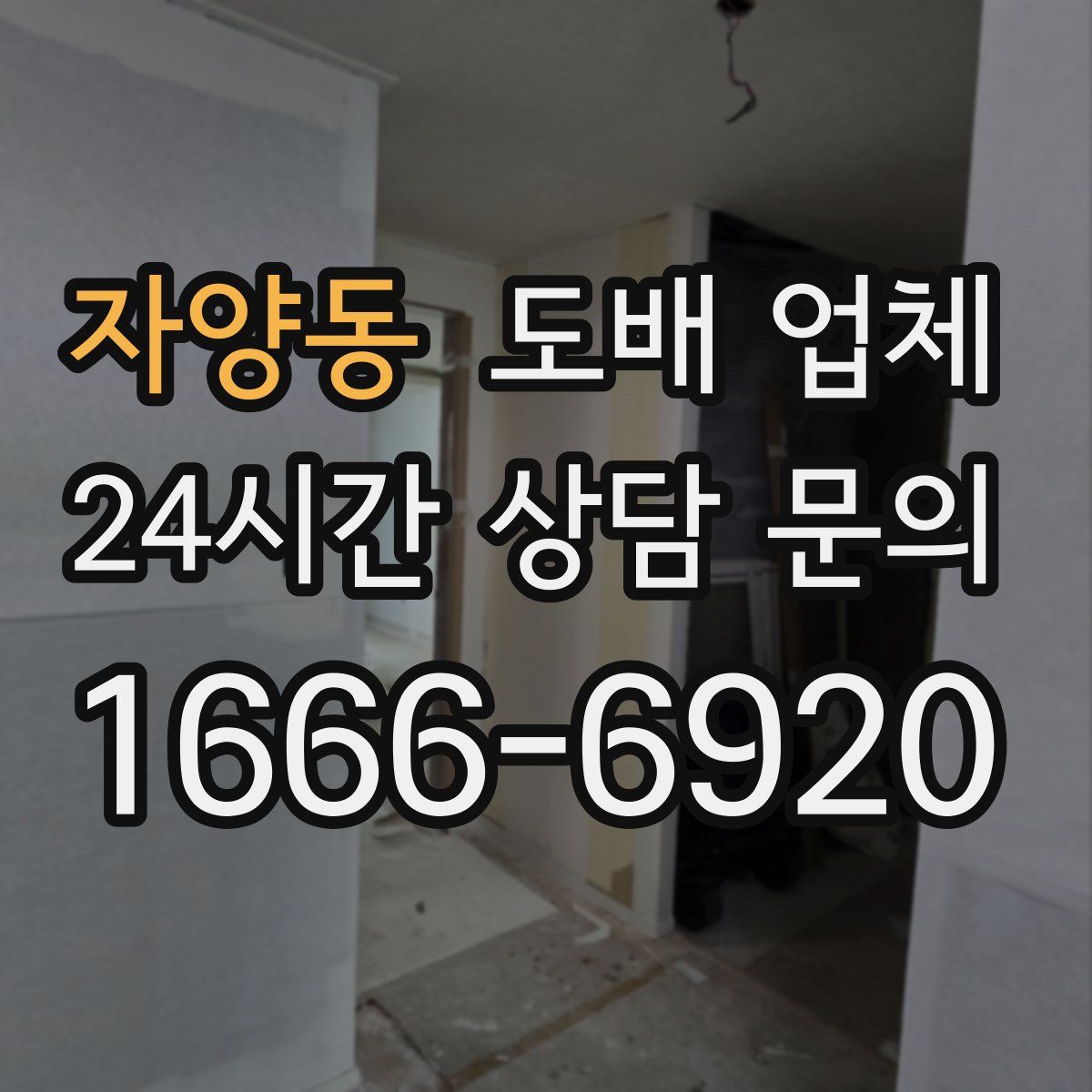 자양동 도배 업체