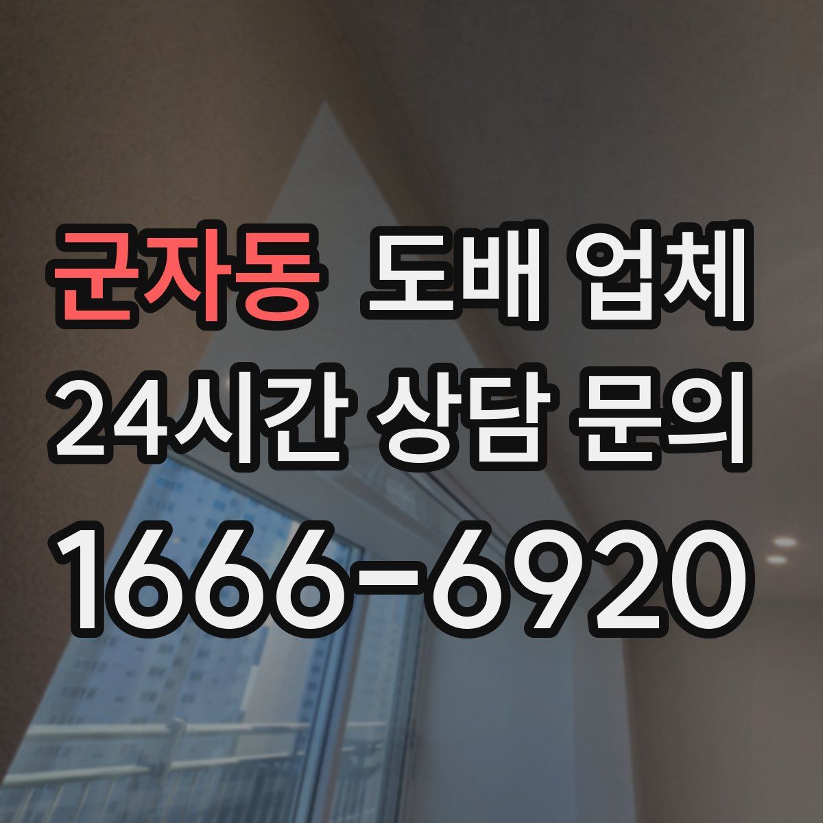 군자동 도배 업체