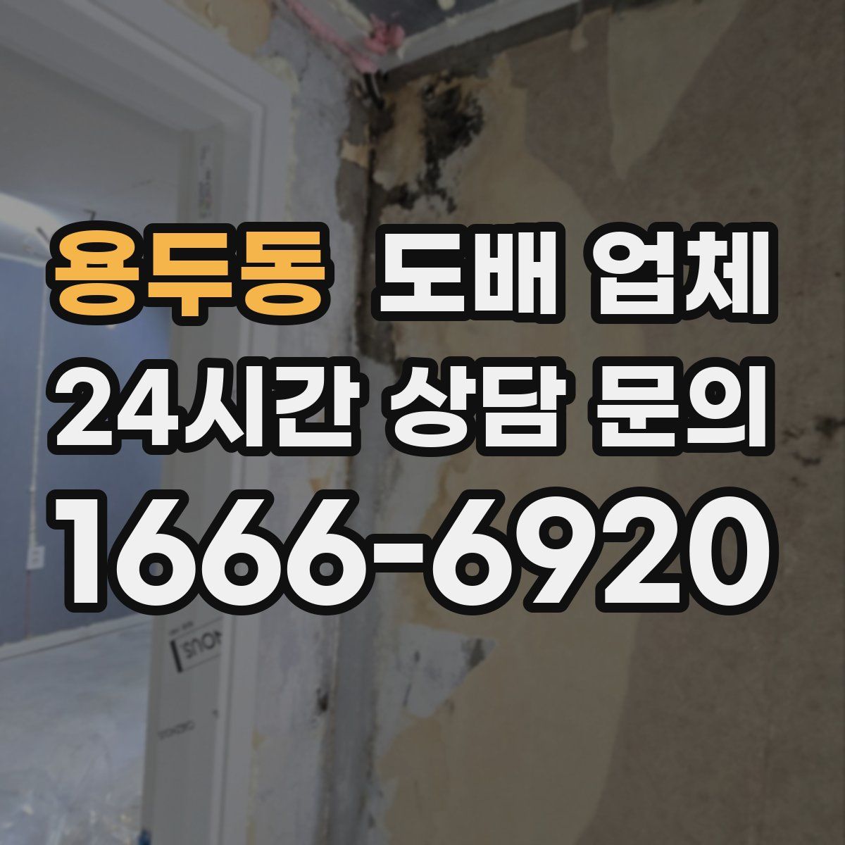 용두동 도배 업체