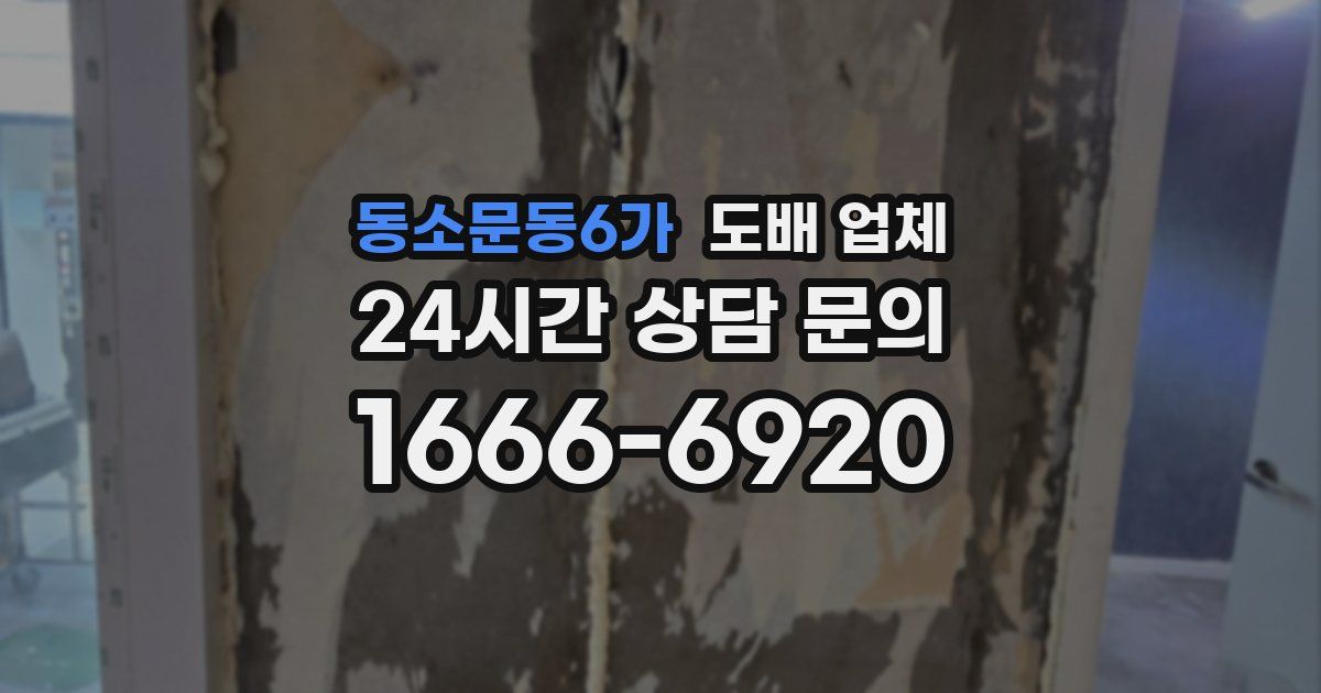 동소문동6가 도배 업체