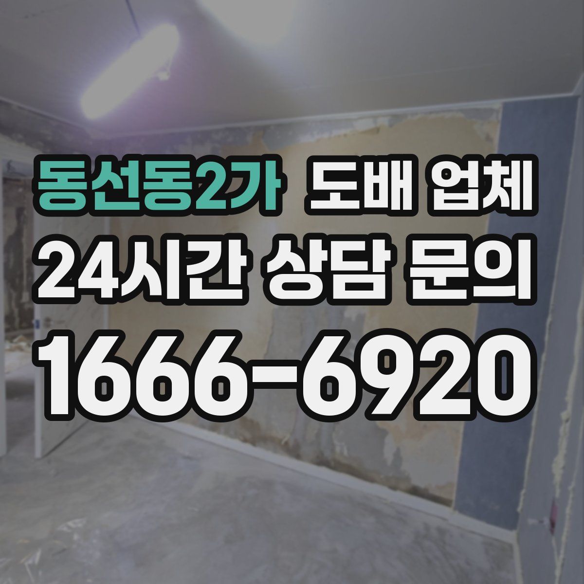 동선동2가 도배 업체