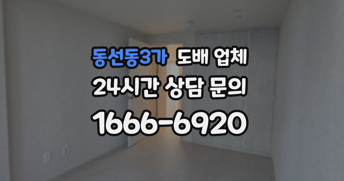 동선동3가 도배 업체