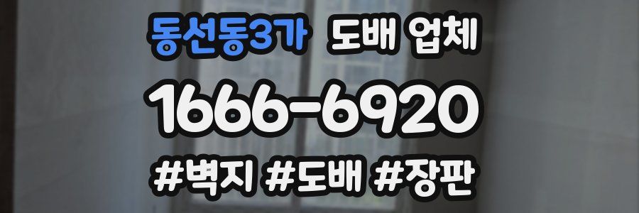 동선동3가 도배 업체