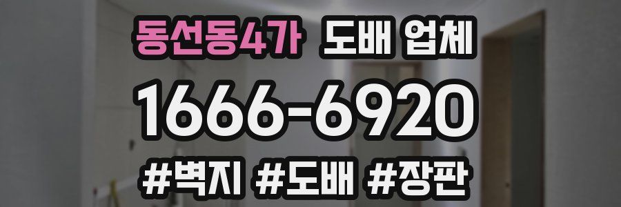 동선동4가 도배 업체