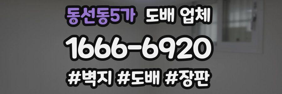 동선동5가 도배 업체
