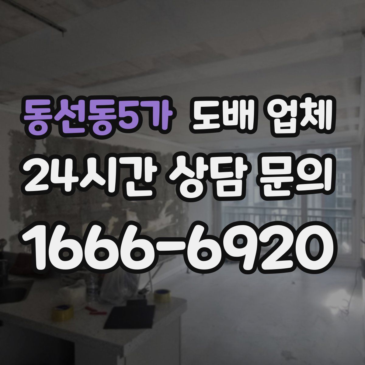동선동5가 도배 업체