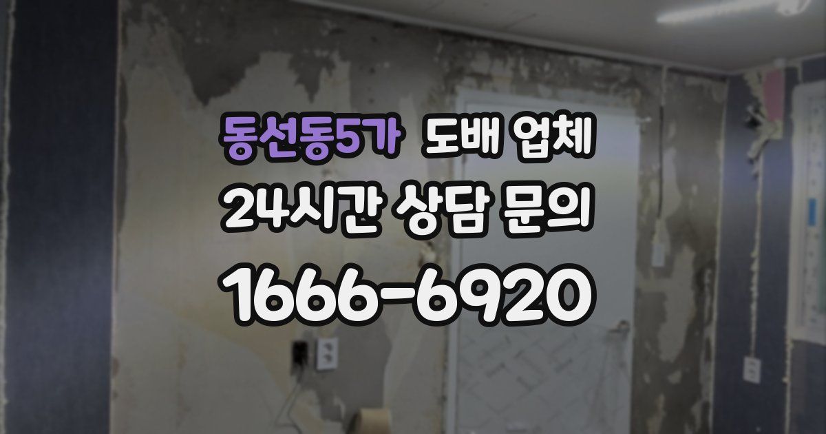 동선동5가 도배 업체