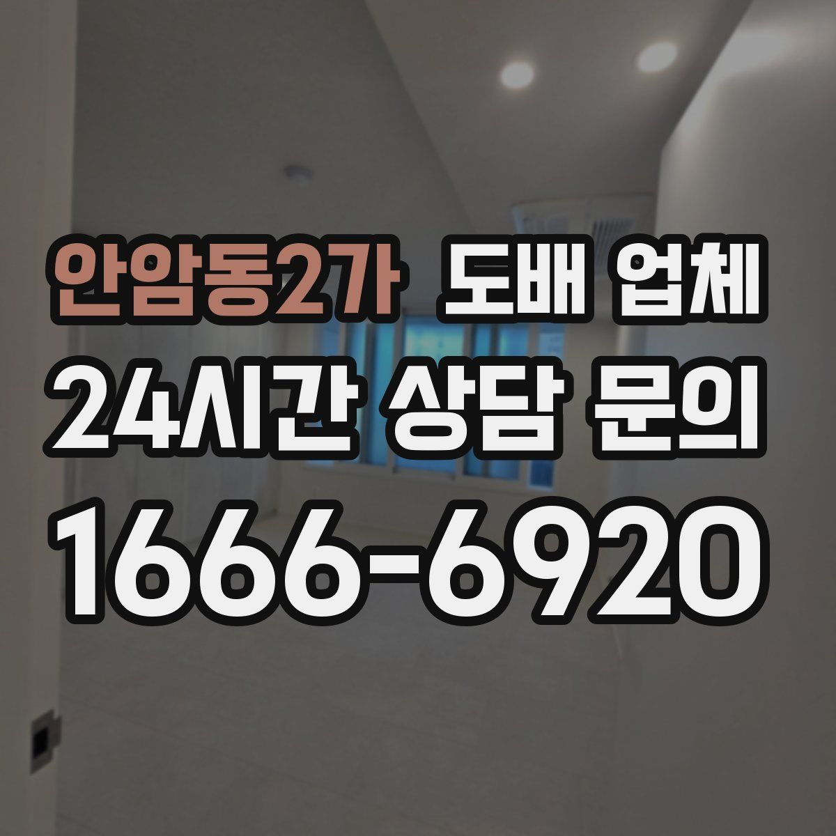 안암동2가 도배 업체