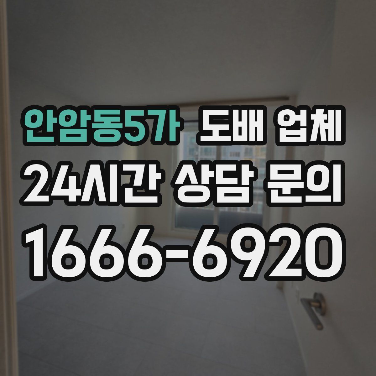 안암동5가 도배 업체