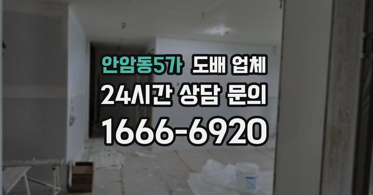 안암동5가 도배 업체