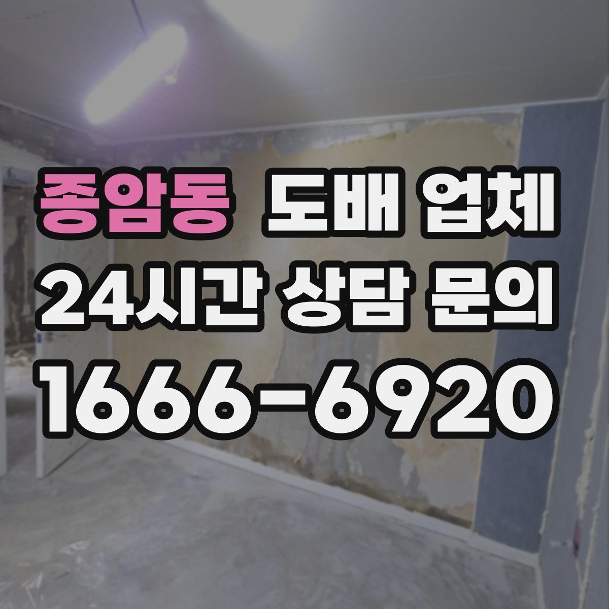 종암동 도배 업체
