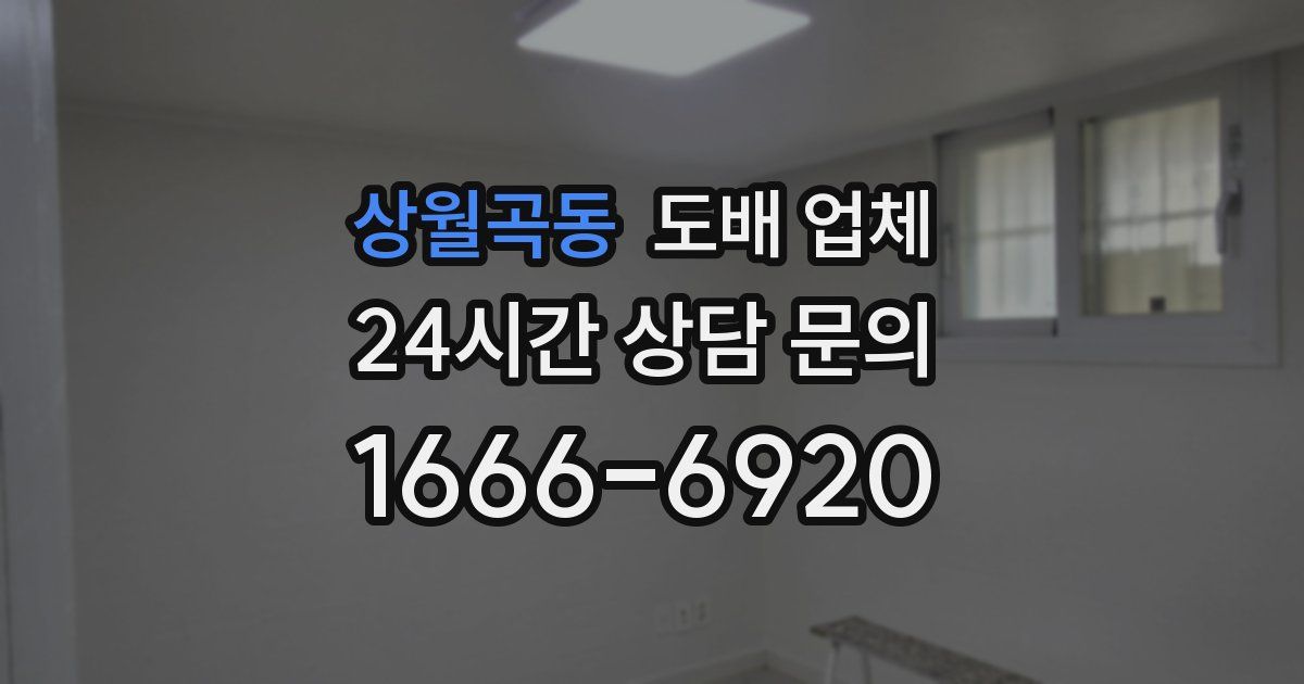 상월곡동 도배 업체