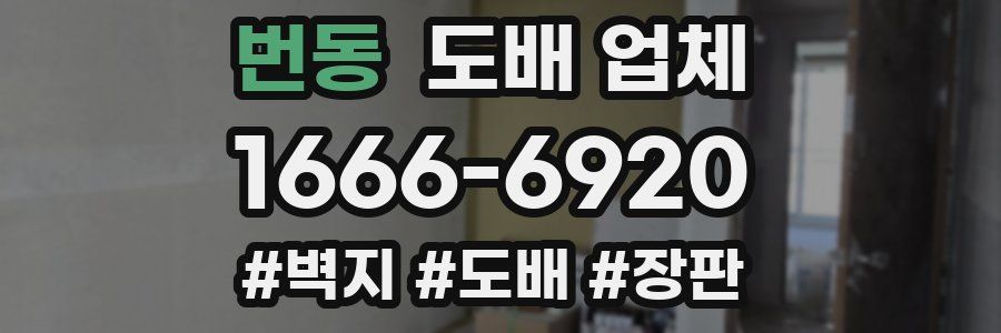번동 도배 업체